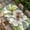 beige, variant on Green Leaves Table Cloths for 8 Foot Rectangle Tables, Tropical Summer Botanical Watercolor Elegant Leaf Patio Waterproof Elastic Fitted Tablecloths, Washable Rectangular Table Cover for Camping