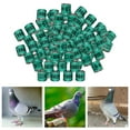 thumbnail image 4 of Anillos de pie de aluminio multicolor Yuyangstore 8mm Verde Bandas para piernas de paloma, 4 of 8