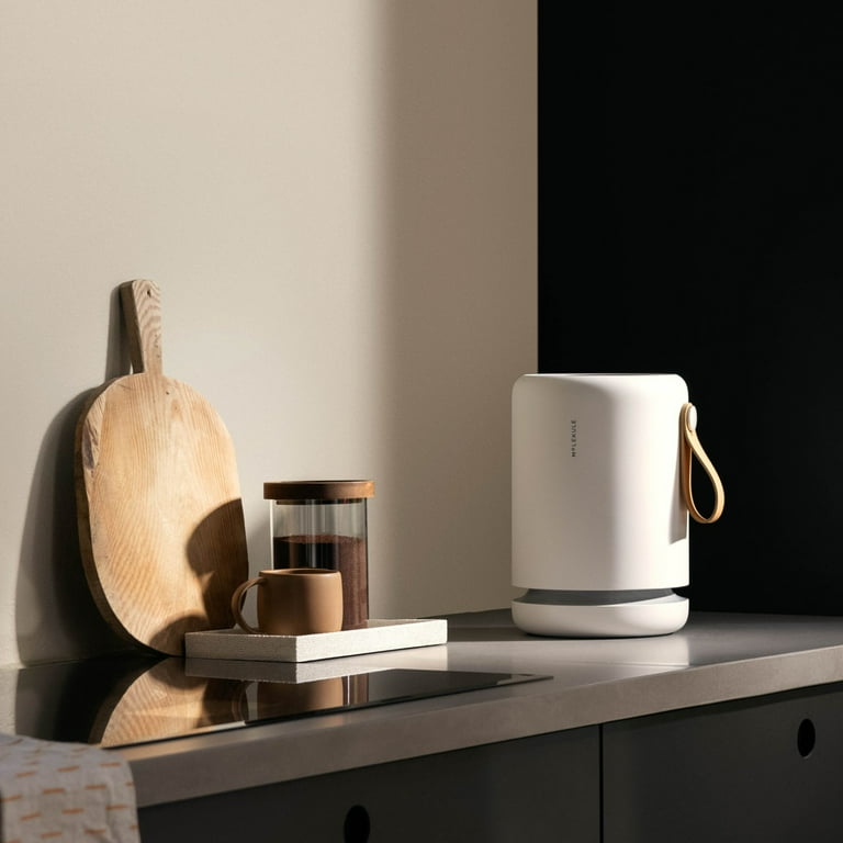 Molekule peco on sale air purifier