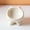 Cute One (Beige), variant on Elevated Ceramic Cat Bowl, Anti-Vomit Ergonomic Tilted Small Dog Food Water Bowl, Neck Protection Stress-Free Pet Feeder with Non-Slip Base, 3oz Capacity, Dishwasher Safe
