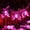 Pink, variant on Butterfly String Lights,Waterproof 4.8M/16FT 20LED Butterfly Solar Lamp Christmas Fairy Decorative Lights for Home Party Wedding Patio Garden Porch Balcony Lighting Decorations