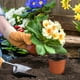 thumbnail image 4 of 100 macetas de plástico para flores, soportes para plantas, macetas sencillas para el hogar, macetas para plantas de jardín., 4 of 7