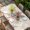 Beige, variant on Spring Easter Table Cloths for 3 Foot Rectangle Tables, Cute Rabbits Ears Bow Daisy Floral Pink Plaid Patio Waterproof Elastic Fitted Tablecloths, Washable Rectangular Table Cover for Camping