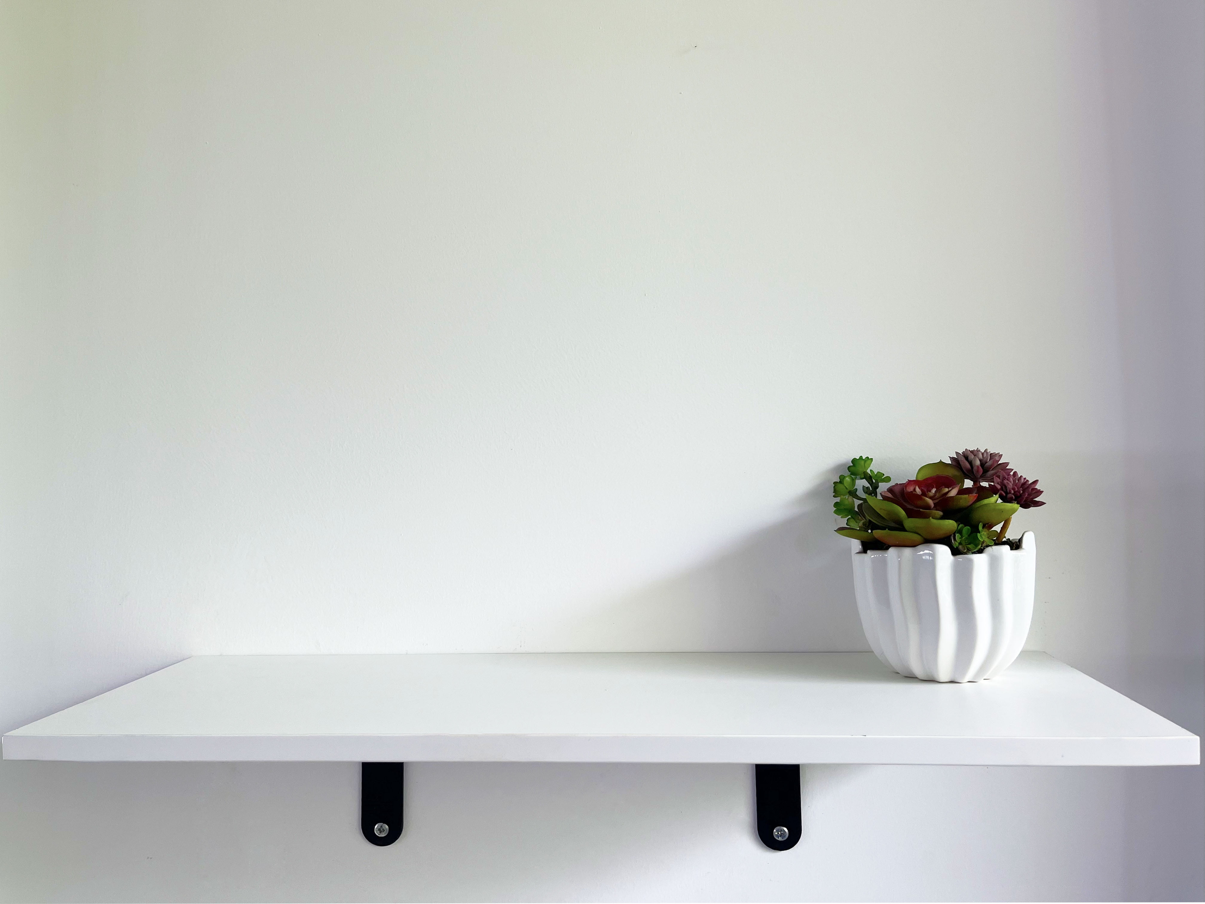 Shelf Kit White 24 in. D x 8 in. L x 0.6 in. H