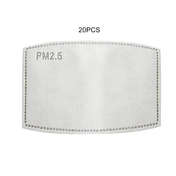 PM2.5 Filter Adult 5-Layer Protective Filter Activated Carbon Filtration