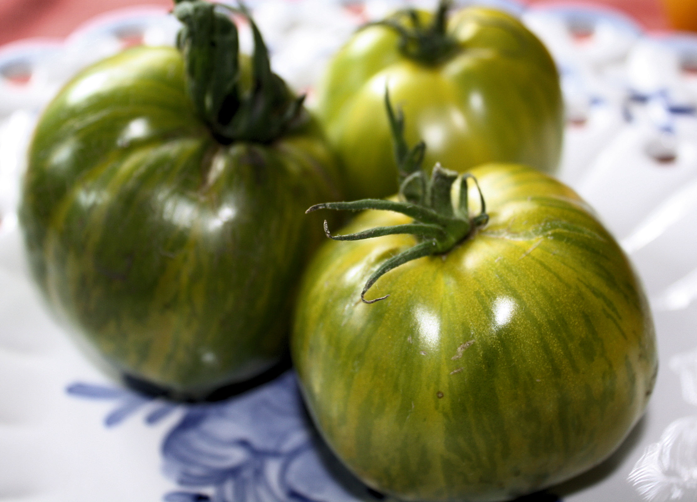 Seed Pack= = Aunt Ruby German Green Tomato 10 Seeds Heirloom OP Non