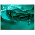 thumbnail image 2 of Area Rugs Indoor Non-Slip Rectangle Rug 2.7x5 Ft Teal Rose with Drops Abstract Art Nature Fantasy Rug Rubber Backing Floor Mats Non Shedding Home Decor Carpet for Entryway Living Room, 2 of 8