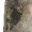 Mossy Oak Terra Gila, variant on Mossy Oak Youth 6-Pocket Cargo Hunting Pants Bottomland XL