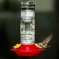 thumbnail image 5 of Perky-Pet Red Window Mounted Glass Hummingbird Feeder - 14 oz Capacity, 5 of 12