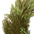 thumbnail image 6 of Northlight Small Cedar Succulent and Day Grass Artificial Spring Wreath Green -14-Inch, 6 of 8