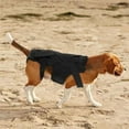 thumbnail image 5 of Adjustable Dog Back Bracer Support and Comfort for Your Furry Friend, 5 of 15
