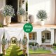 thumbnail image 4 of Qazbgdl - Planta Artificial Verde para Jardín | Decoración Primavera-Verano | 60 Cm de Altura para Patio | Incluye 1 Inserto de Plástico para El Suelo, 4 of 6