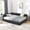 Black, variant on Noble House Carola Full Size Velvet Daybed Frame, Tufted Upholstered Sofa Bed with Underbed Storage Drawers, Black