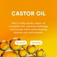 thumbnail image 3 of Barra acondicionadora MARS MADE, aceite de ricino nutritivo, 100 ml, 3 of 6