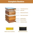 thumbnail image 2 of EDTara Bee Hive Starter Kit, 10-Frame Langstroth Beehive with Deep & Medium Box, Beeswax Dipped, Acrylic Window, 2 of 8