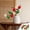 A, variant on Decorative Balls Potpourri Bowl Filler Decor Natural Vase Bowl Filler Assorted Spherical Twigs Wicker Balls Cotton for Home Centerpiece