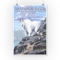 thumbnail image 2 of Arapahoe Basin, Colorado, Mountain Goat and Kid (12x18 Wall Art Poster, Room Decor), 2 of 3