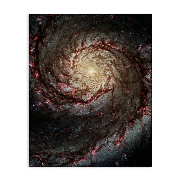 Stupell Industries Great Beyond Nebula Animals & Insects Photography Gallery Wrapped Canvas Art Print Wall Art, 16 x 20