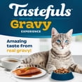 thumbnail image 3 of Blue Buffalo Tastefuls Irresistible Gravy Experience Adult Indoor Cat Dry Food, Salmon & Brown Rice Recipe, 10-lb. Bag, 3 of 12