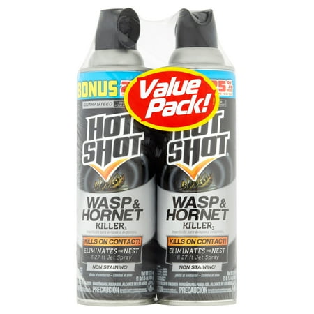 Hot Shot Wasp & Hornet Killer, 2/17.5-oz