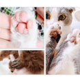 thumbnail image 3 of Tijeras para perros, tijeras inalámbricas para gatos y cachorros, cortapelos eléctrico de bajo ruido para mascotas, tijeras de peluquería canina para recortar patas, pelo alrededor de los oj, 3 of 3