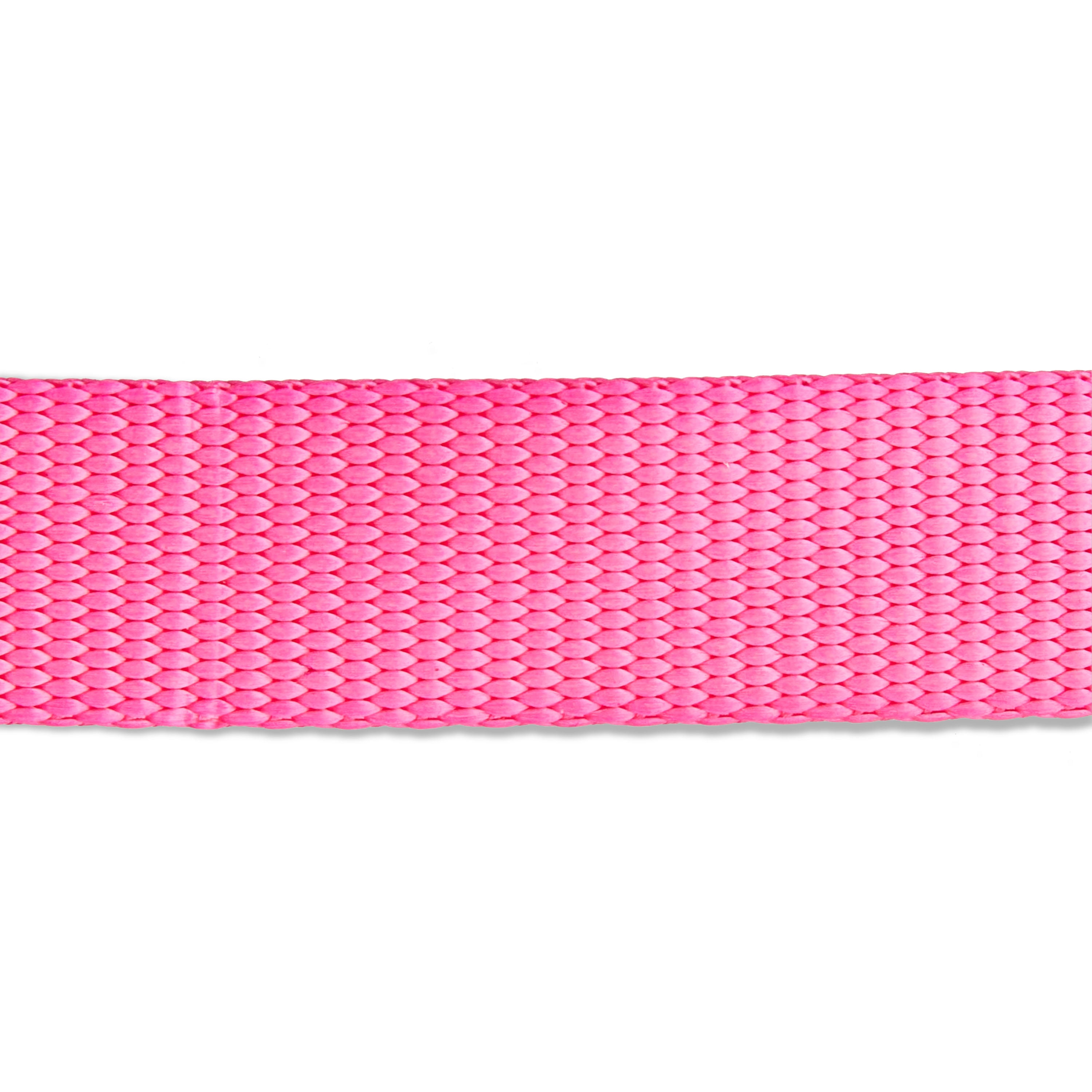 Vibrant Life 6 ft Solid Polyester Leash, Pink, Large