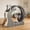 85cm Grey oak, variant on Cat Exercise Wheel, 95cm Inner Diameter Large Cat Treadmill with Removable Carpet, Scratching Board & Play Balls, Kitten Running Wheel for Indoor Cats Walking Training for Cats' Weight Loss & Health