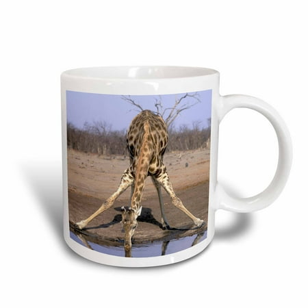- 3dRose Botswana, Chobe NP, Giraffe, water hole, Savuti Marsh-AF05 PSO0208 - Paul Souders, Ceramic Mug, 11-ounce