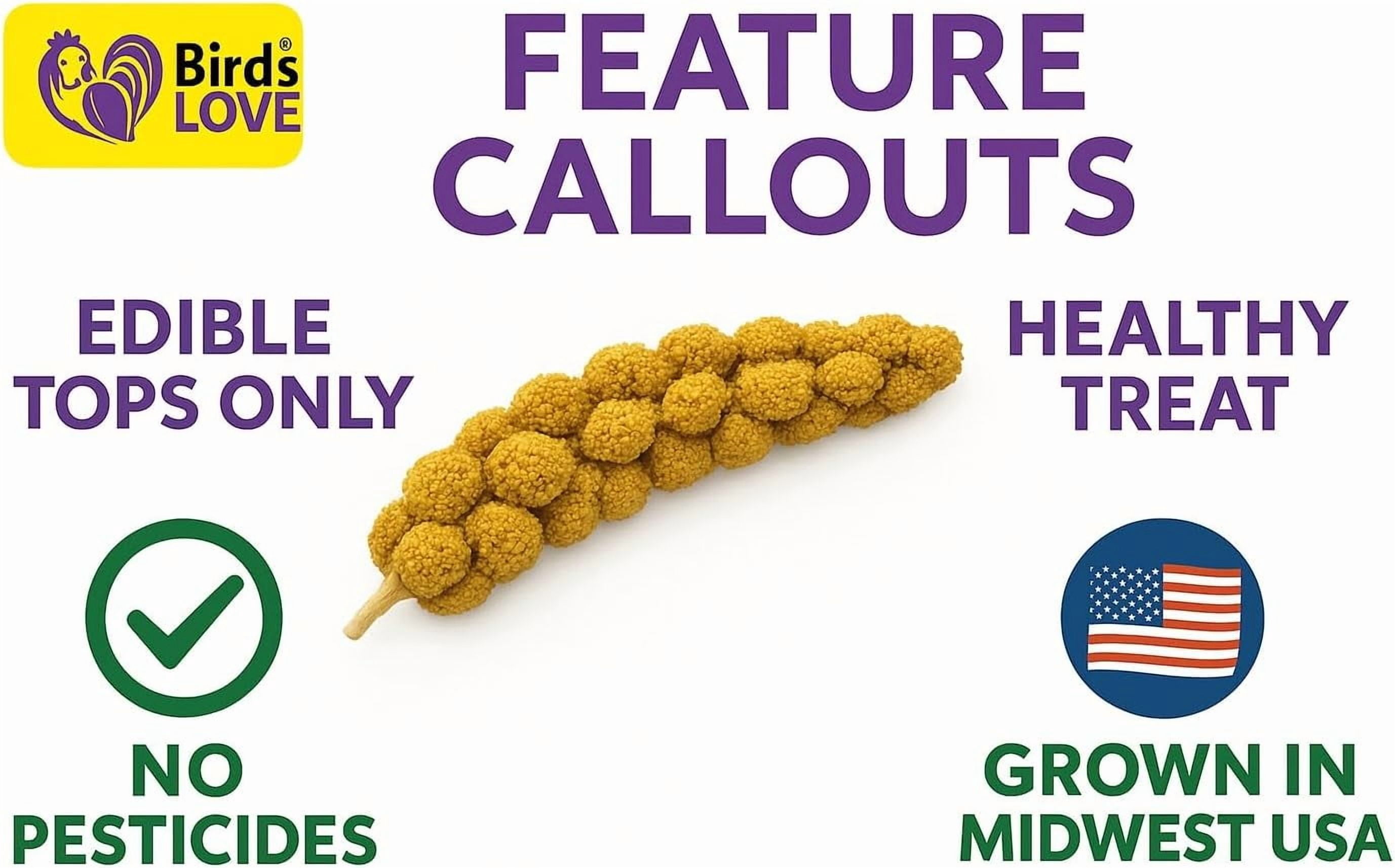 Birds LOVE Economy & Special Spray Millet for Birds, No Stems Non-GMO Sun-Dried Edible Millet Tops for Cockatiels, Lovebirds, Parakeets, Finches & Canaries, 5 lb