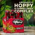 thumbnail image 3 of Dogfish Head 90 Minute Imperial IPA Craft Beer, 6 pack, 12 fl oz Glass Bottles, 9% ABV, 3 of 8