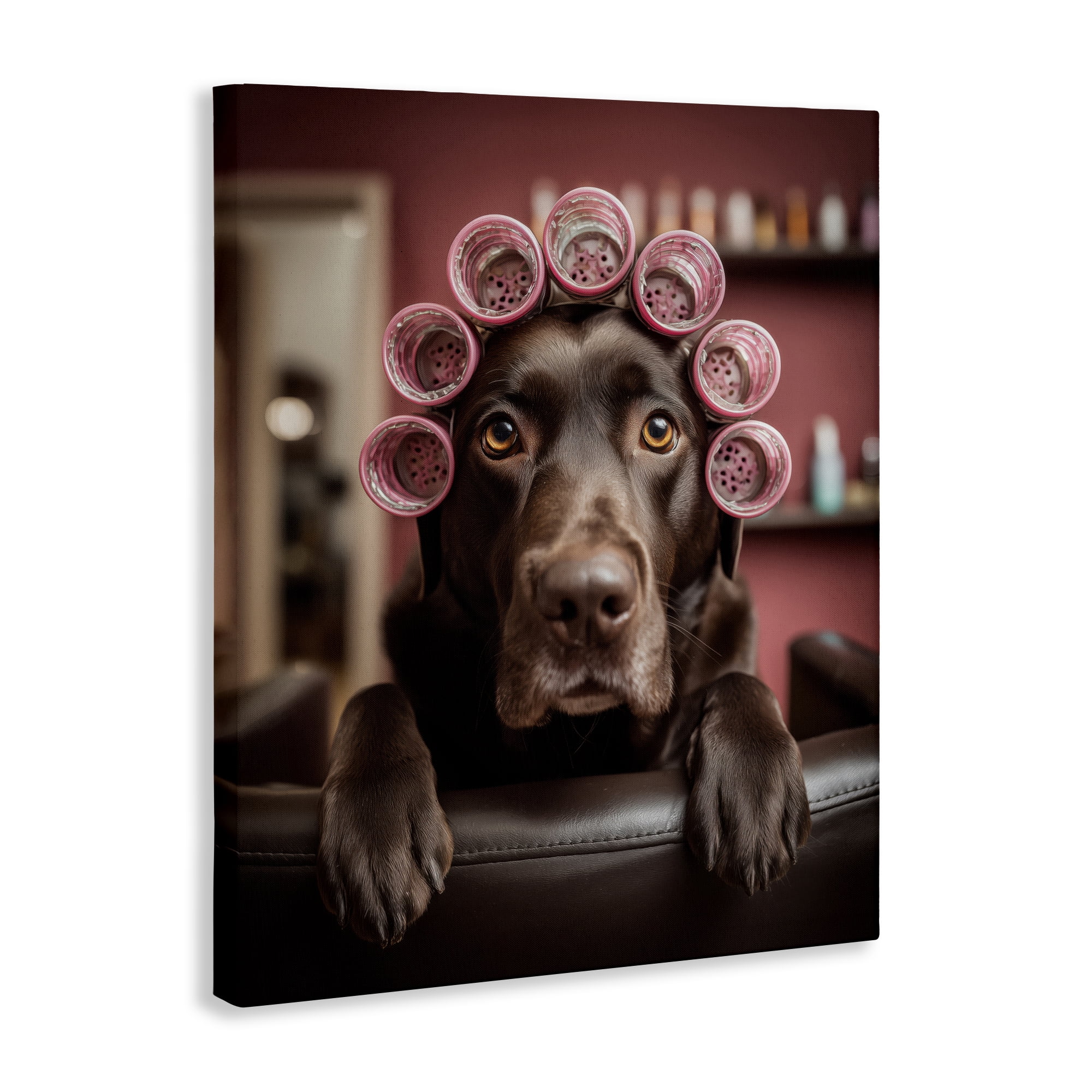 Stupell Industries Dog at Salon with Curlers Canvas Wall Art, design by Scott Stulberg