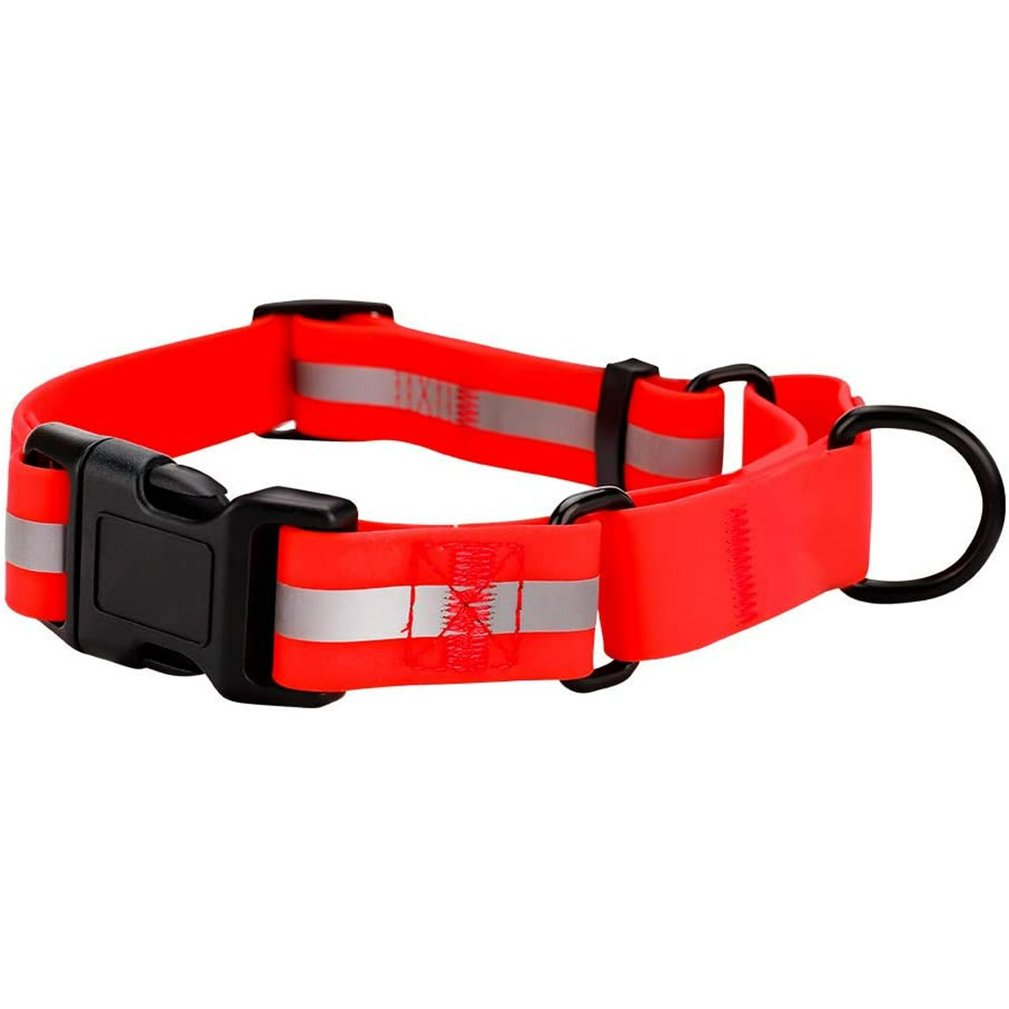 Can Slip Leash Hurt Dogs