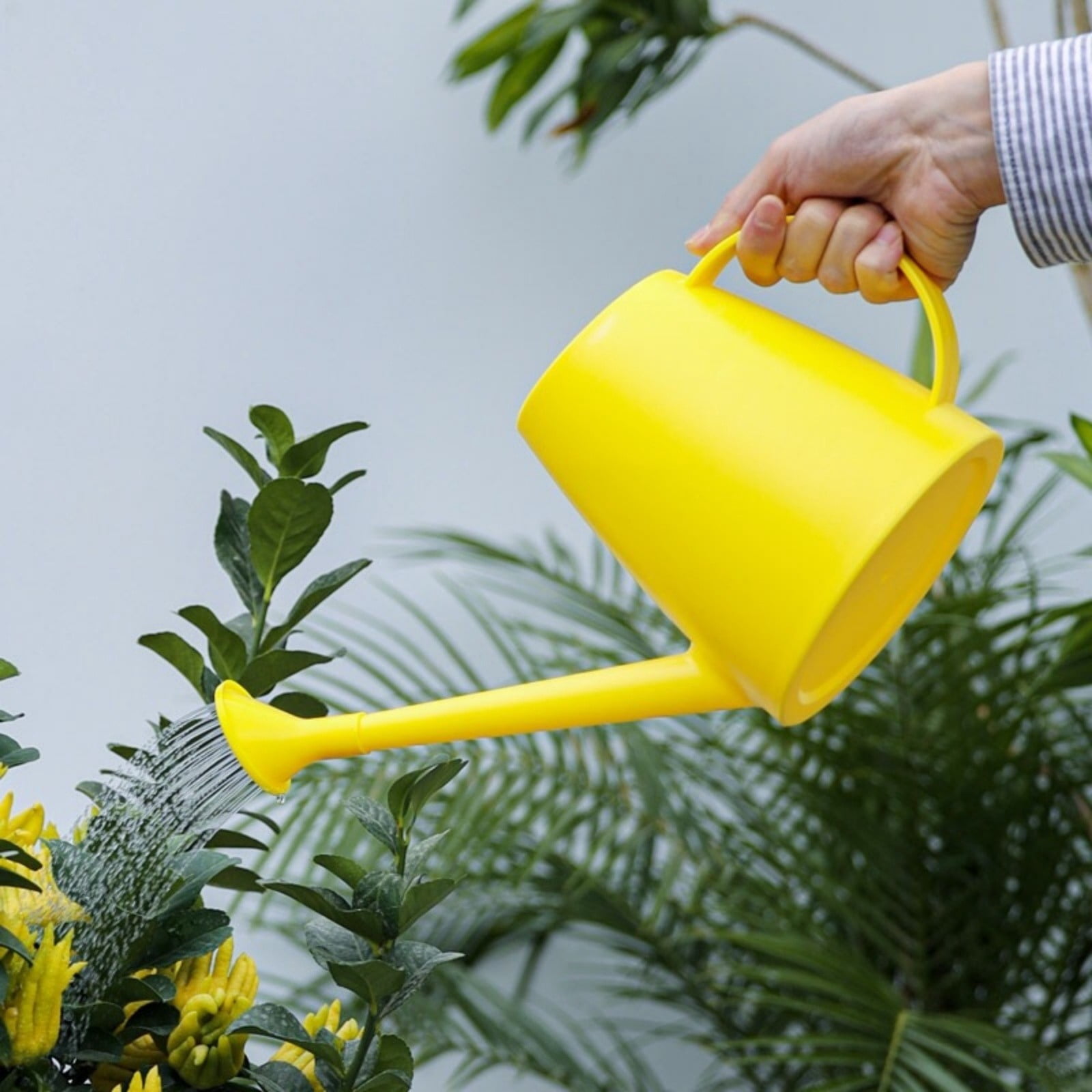 Watering Can for Indoor Plants, 1.8L/0.5 Gal Small Long Spout Water Can, Lightweight Garden Jug with Sprinkler Rose for Houseplant Outdoor Flower Watering, Yellow