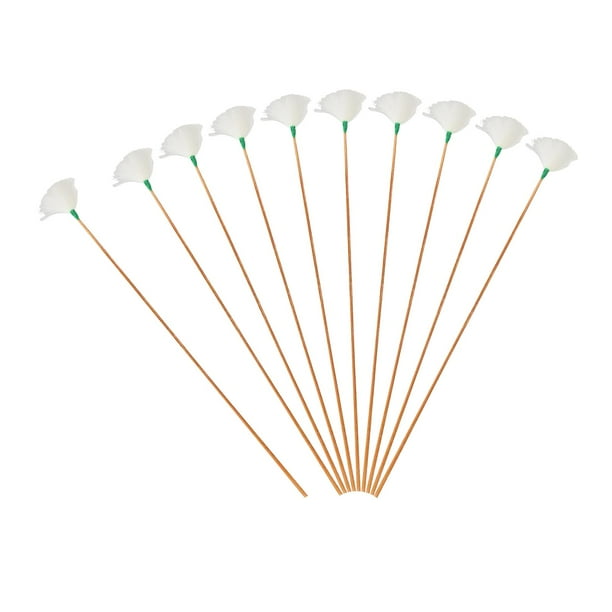 10 Uds. de Orejeras de Plumas de para Adultos/cómodo Mango Largo Removedor de Orejas Suave Recogedor de Orejas Cuchara Herramienta de Limpieza D M Fernando orejera