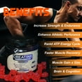 thumbnail image 6 of S.G Inc Creatine Monohydrate Gummies, Strawberry, 5000mg, Vegan, Gluten Free, 120 Count, 6 of 11