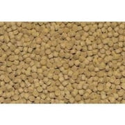 Northfin Cichlid Formula 2mm