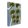 thumbnail image 3 of Stupell Industries Palm Trees Overhead Nature Photography Gallery Wrapped Canvas Print Wall Art, 36 x 48, 3 of 7