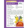 thumbnail image 2 of Té laxante, Traditional Medicinals, Smooth Move, 32 bolsitas, 2 of 9