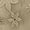 01 Beige, variant on Elegant Embroidered Linen Tank Tops for Women Loose U Neck Sleeveless Summer Business Casual Shirts Dressy Blouses