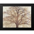 thumbnail image 2 of Aprile, Alessio 24x19 Black Modern Framed Museum Art Print Titled - Sacred Oak, 2 of 5