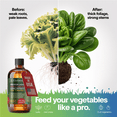 thumbnail image 3 of ⭐ LIQUID POWER Mushrooms Fertilizer - Professional Liquid Plant Food for Mushrooms - Fast-Acting Concentrate for Growth, Strong Roots & High-Yield Harvest - 8 oz - Indoor & Outdoor Use, 3 of 6
