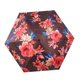 thumbnail image 5 of Paraguas de lluvia 6 costillas plegables impermeables Yuyangstore marrón rojo, 5 of 8