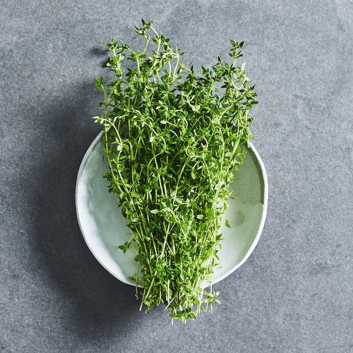 Seed To Stomach - Italian Herb Kit
