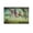 Unframe-style, variant on Salvador Dali Wall Art Prints 《The American Dream》 Art Poster Poster Decorative Painting Canvas Wall Art Living Room Posters Bedroom Painting 24x36inch(60x90cm)
