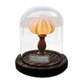 thumbnail image 1 of Wzzjkit Easy DIY Seashell Nightlight Kit Non Finished Produc, 1 of 5