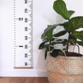 thumbnail image 3 of Kids Growth Chart Wood Frame Canvas Height Measurement Ruler From Baby To A, 3 of 5