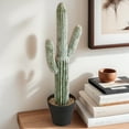 thumbnail image 2 of 24.67" Artificial Saguaro Cactus in Black Pot – Lifelike Desert Decor, Zero Maintenance Fake Plant for Home & Office, 2 of 7