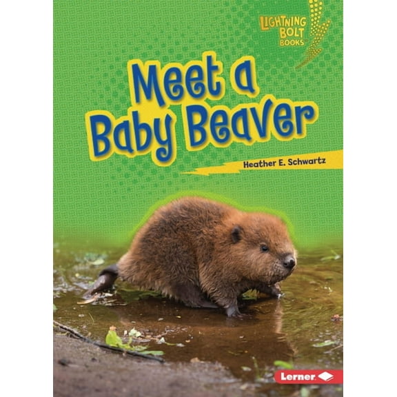 Lightning Bolt Books (R) -- Baby North A Meet a Baby Beaver, (Paperback)