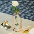 thumbnail image 3 of Geometric Test Tube Vase with Metal Frame, Transparent Glass Planter Hydroponics Decoration, 3 of 6