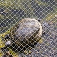 thumbnail image 3 of FOMIYES Pantalla Para Acuario Anti Salto Con Práctico, 3 of 7